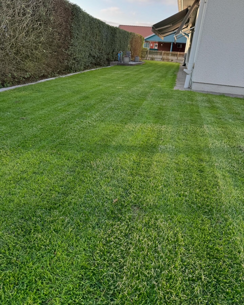 Finaste gräsmattan i Staffanstorp