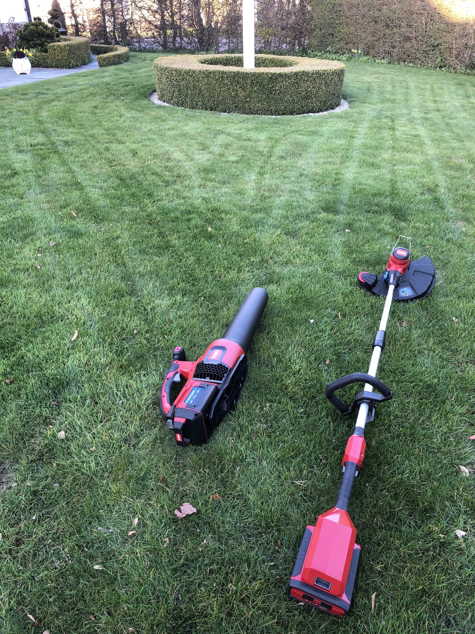 Häckklippning i Lund med omnejd