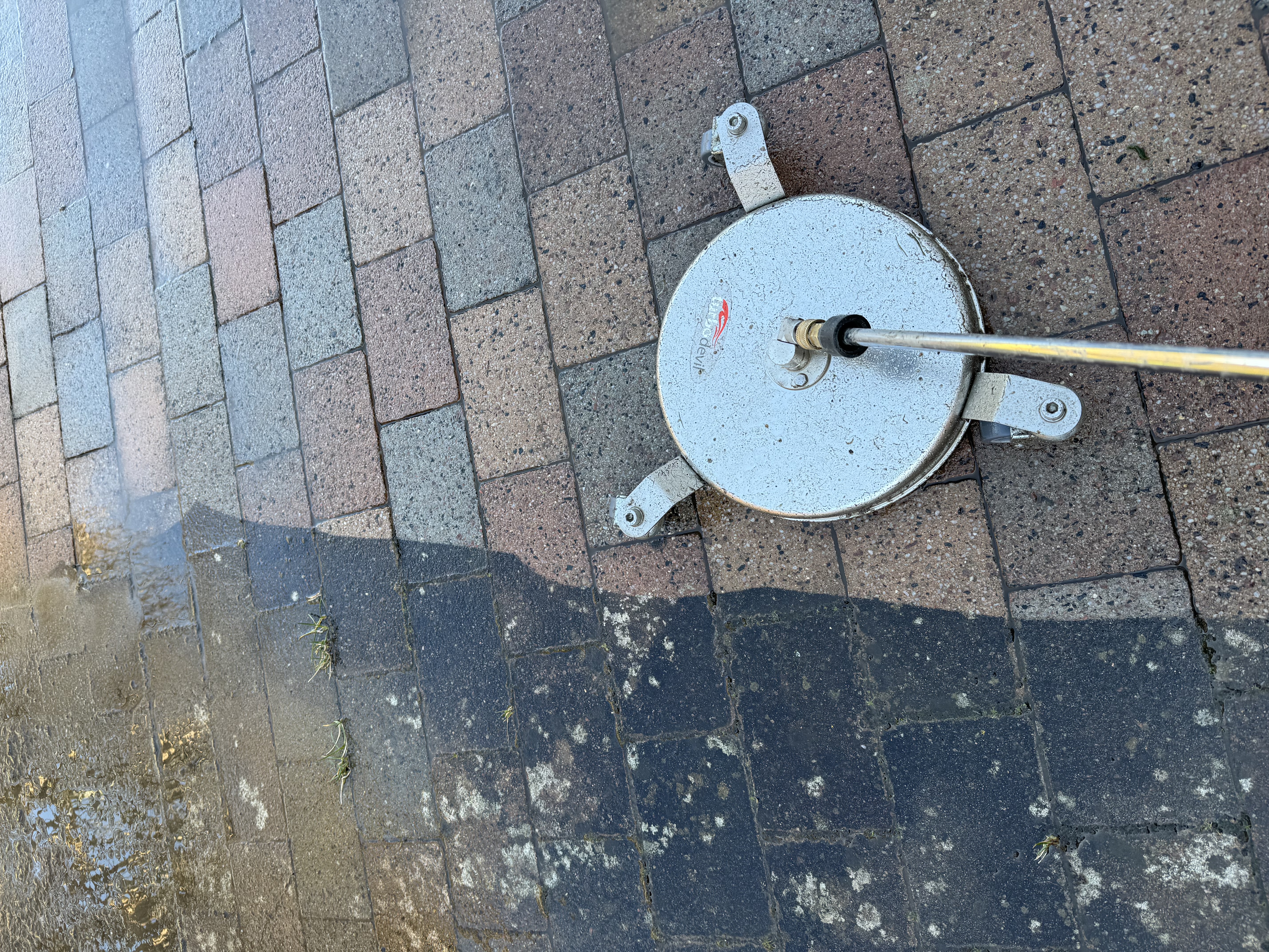 Algbehandling i Malmö