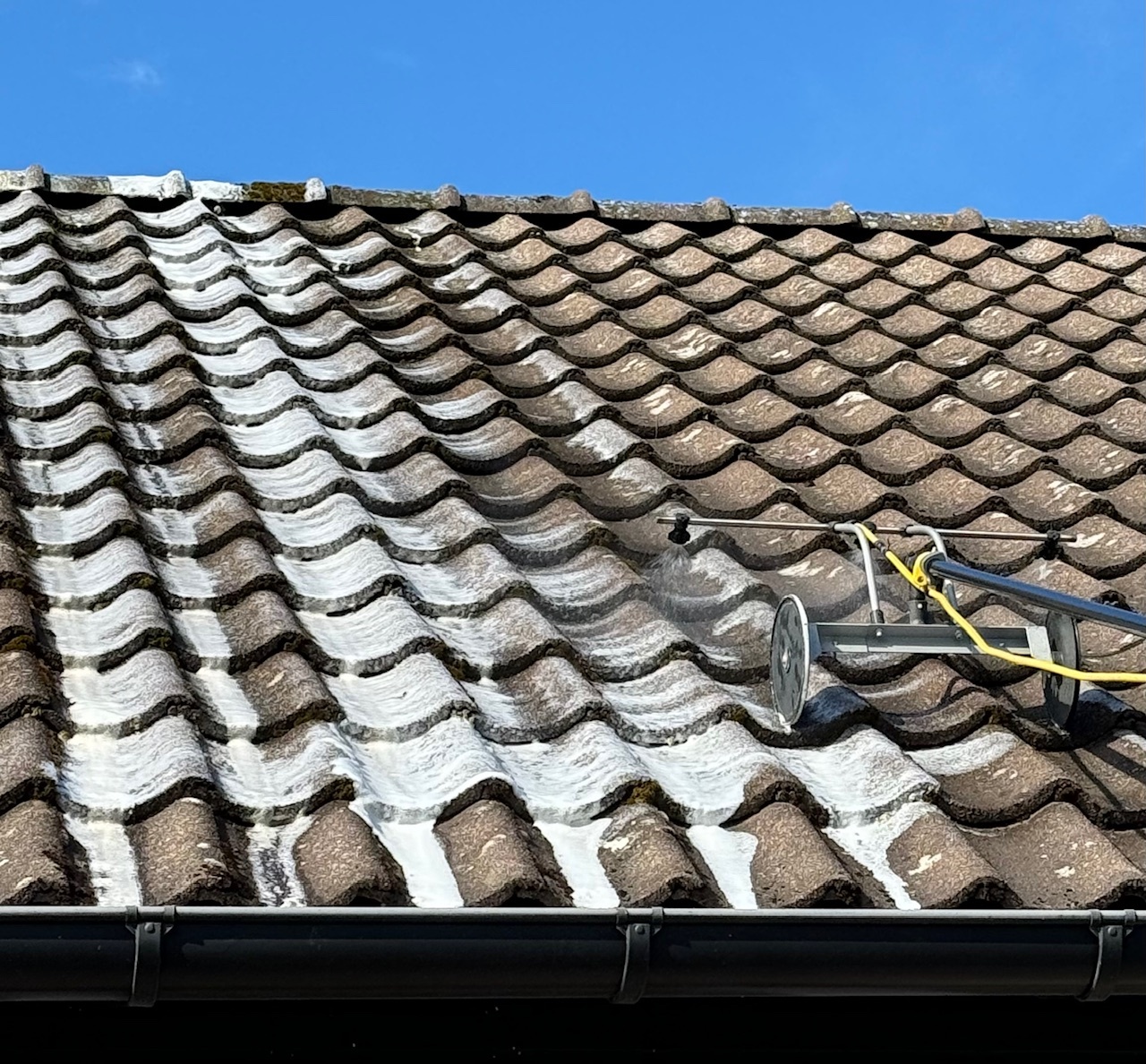 Taktvätt och algbehandling i Bjärred. Borttagning av alger från tak