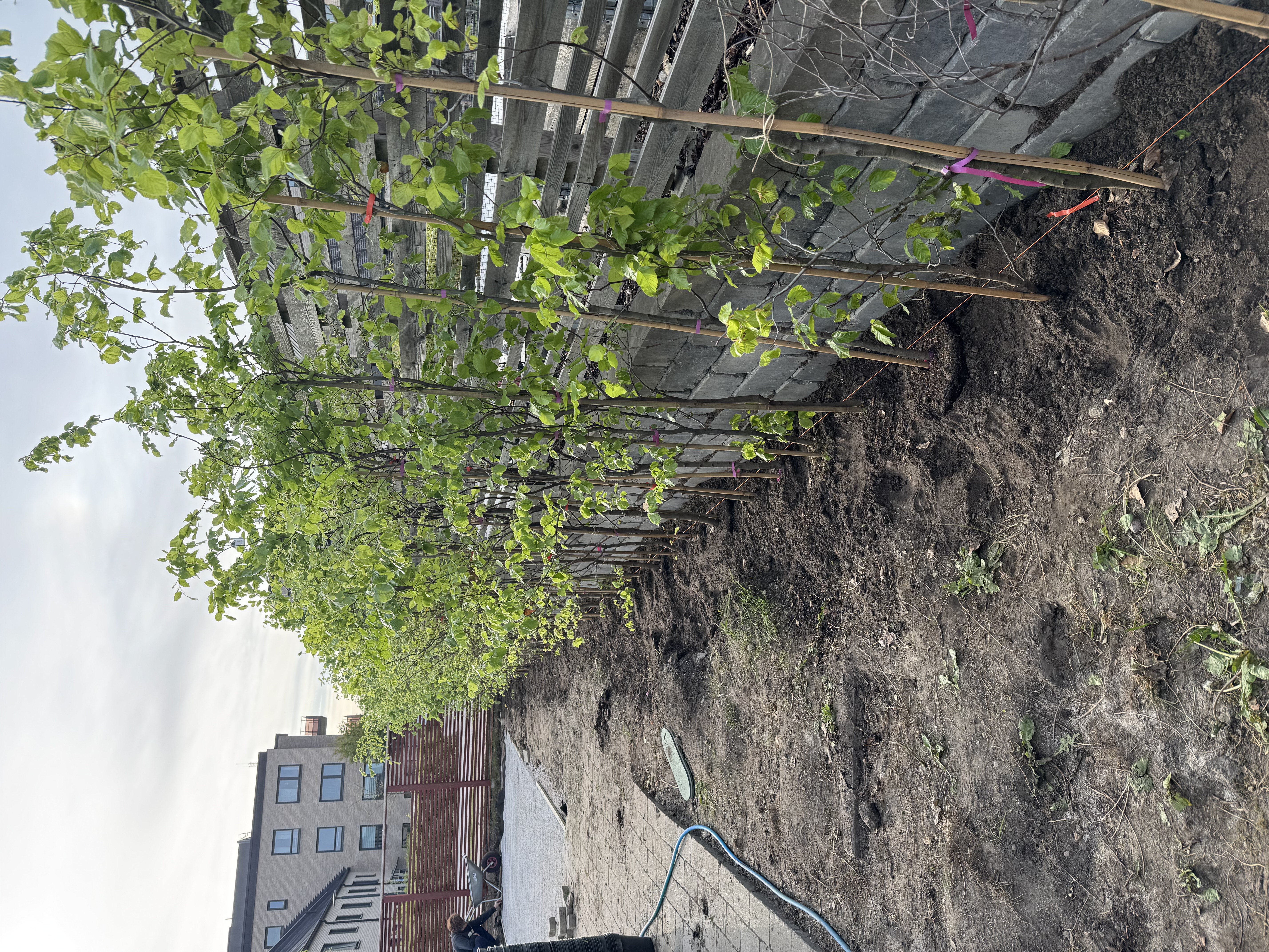 Stentvätt i Staffanstorp 