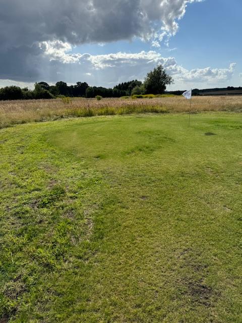 Stödså med kvalitetsfrö i Höllviken