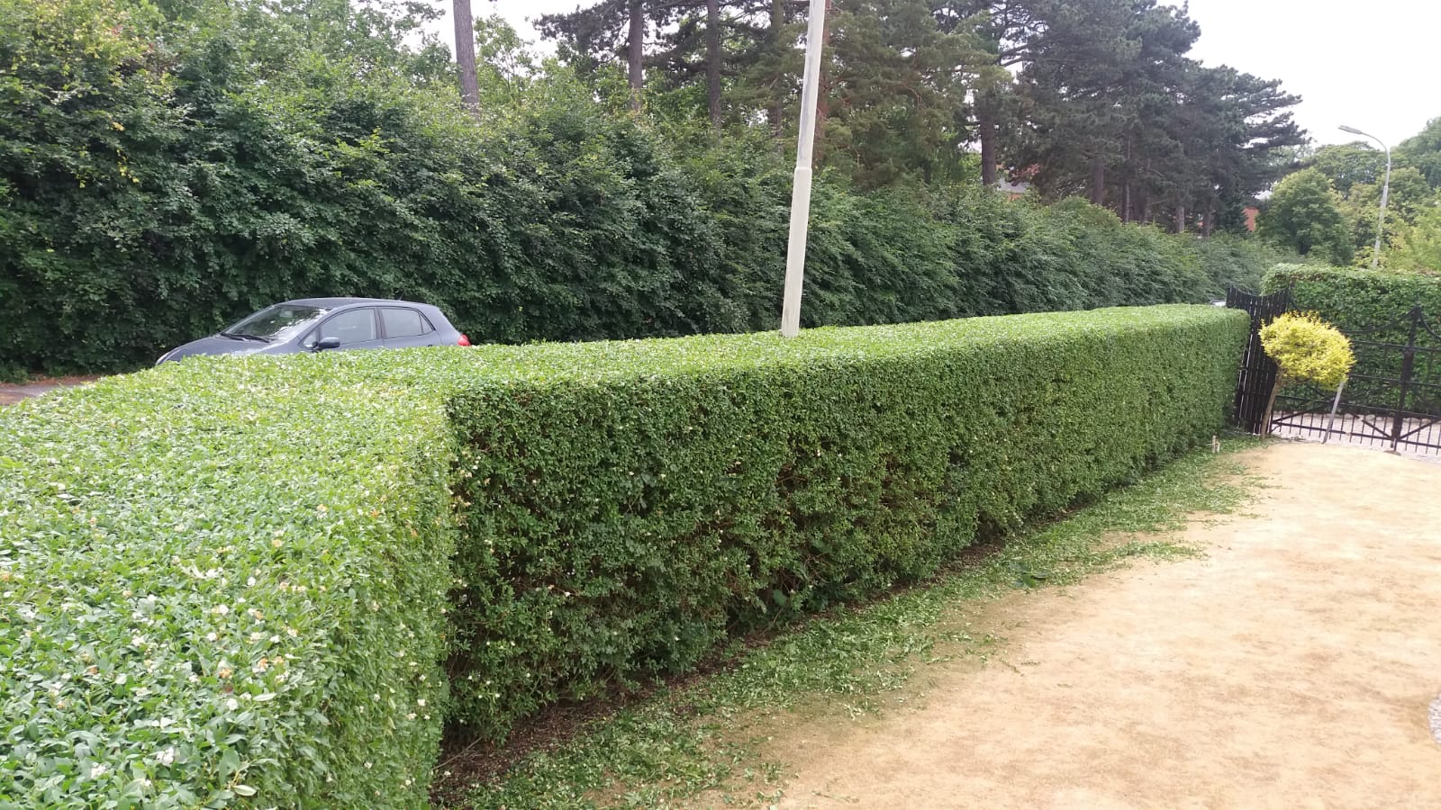 Tvätt av smutsiga solpaneler i Lund, Skåne