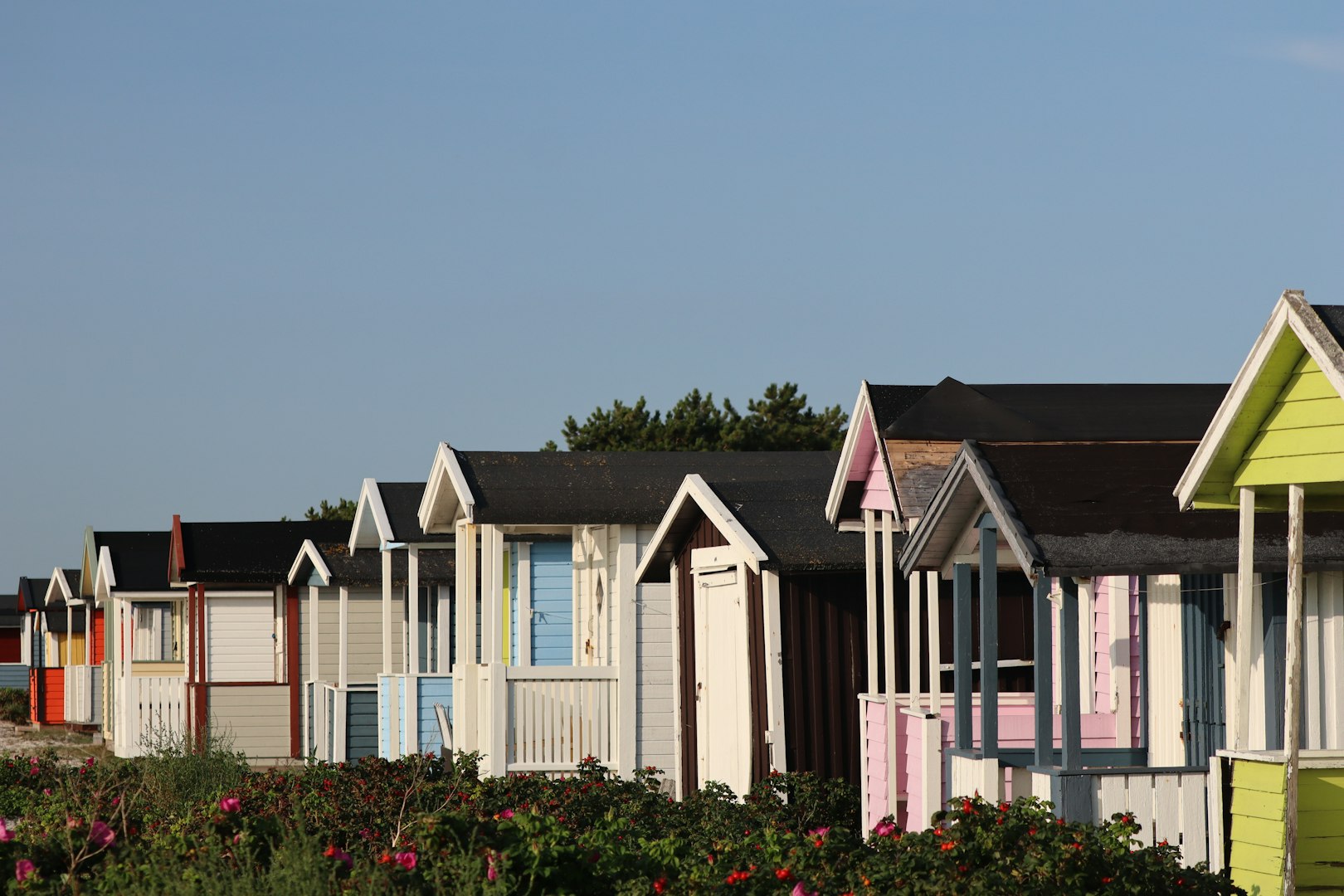 Bevattning i Skanör, nära havet