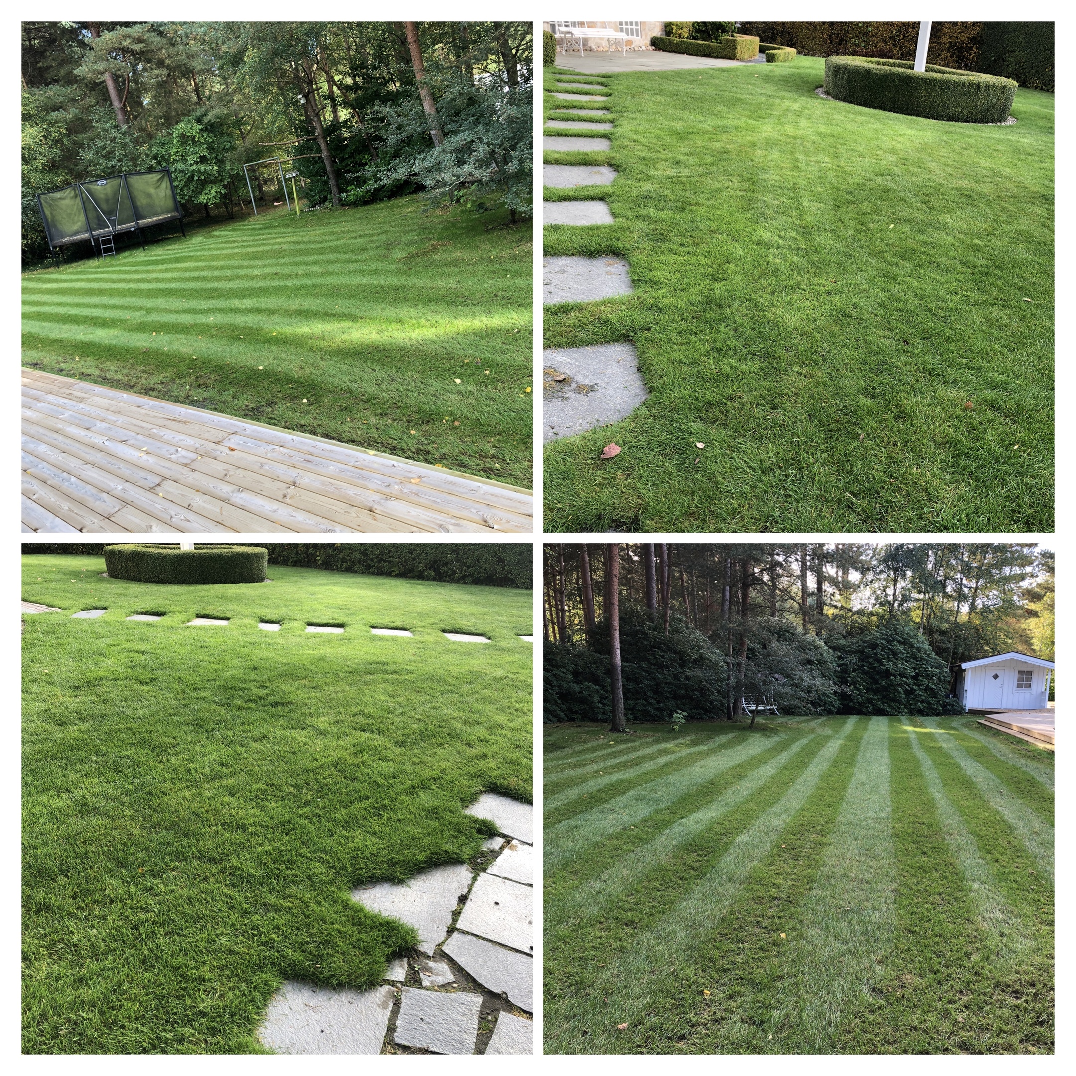 Gräsvård i Hjärup