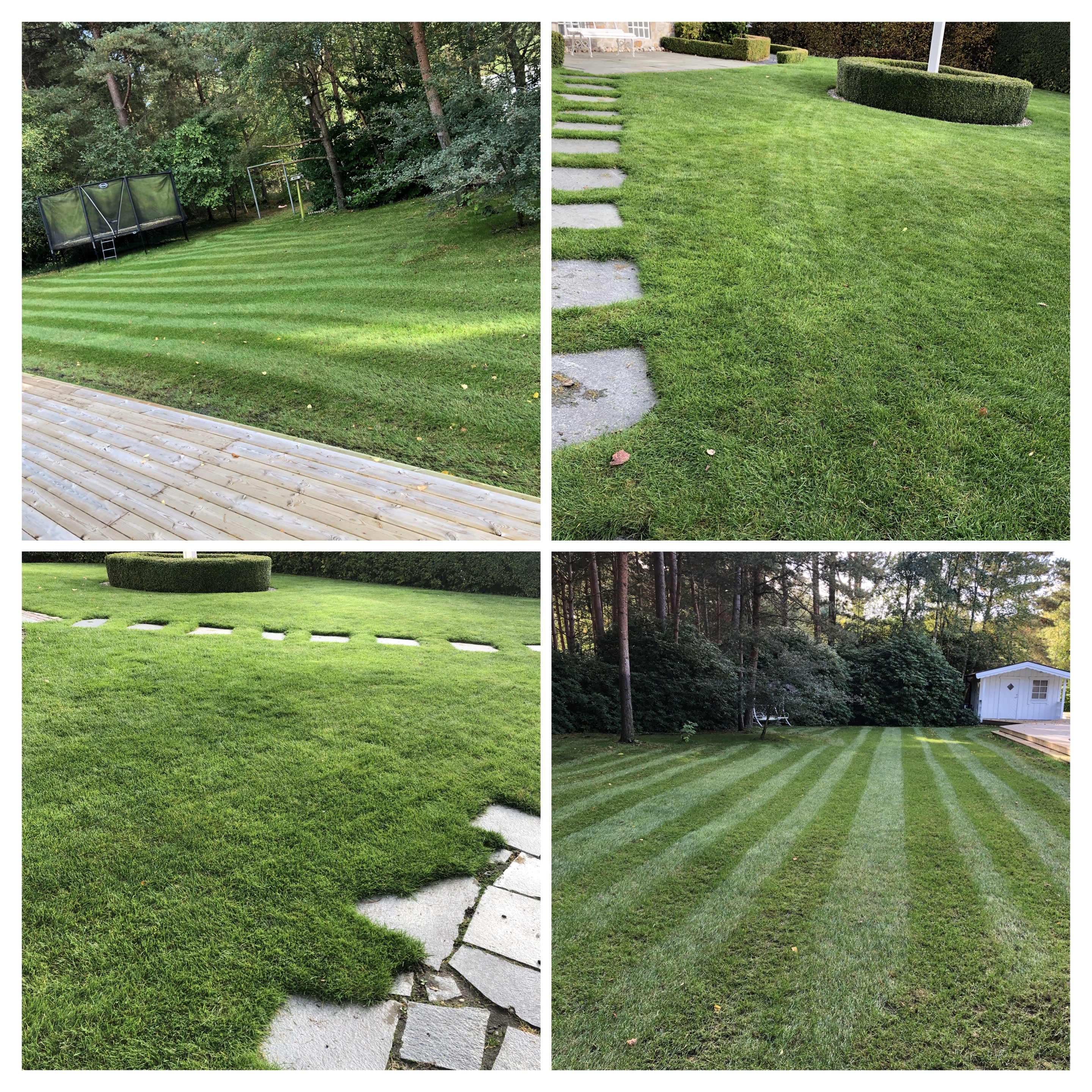 Grässkötsel i Skåne