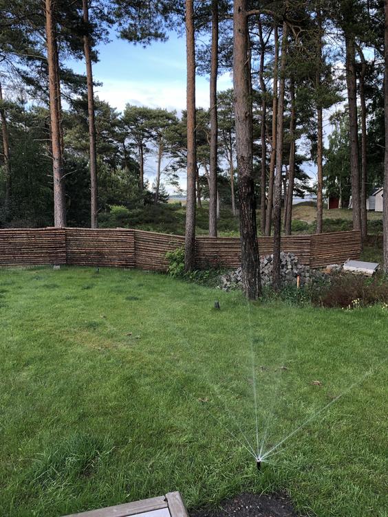 Bevattning av gräsmatta i Ljunghusen