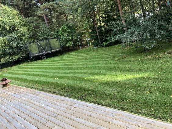 Paradgräsmatta i Skåne