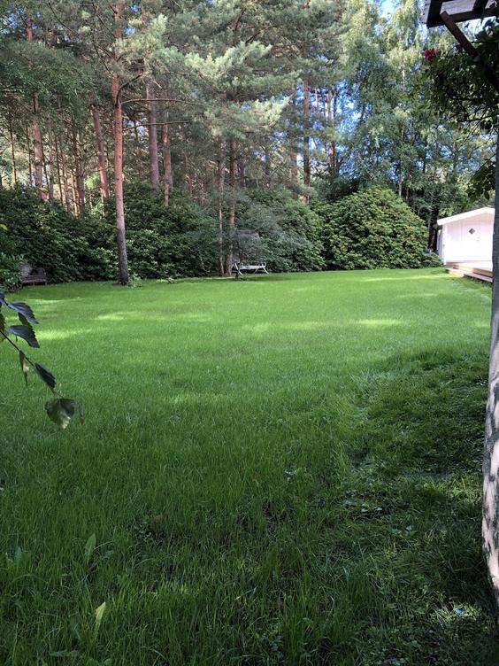 Nysådd i Ljunghusen