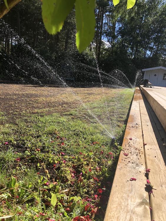 Bevattning av gräsmatta i Ljunghusen, Falsterbo